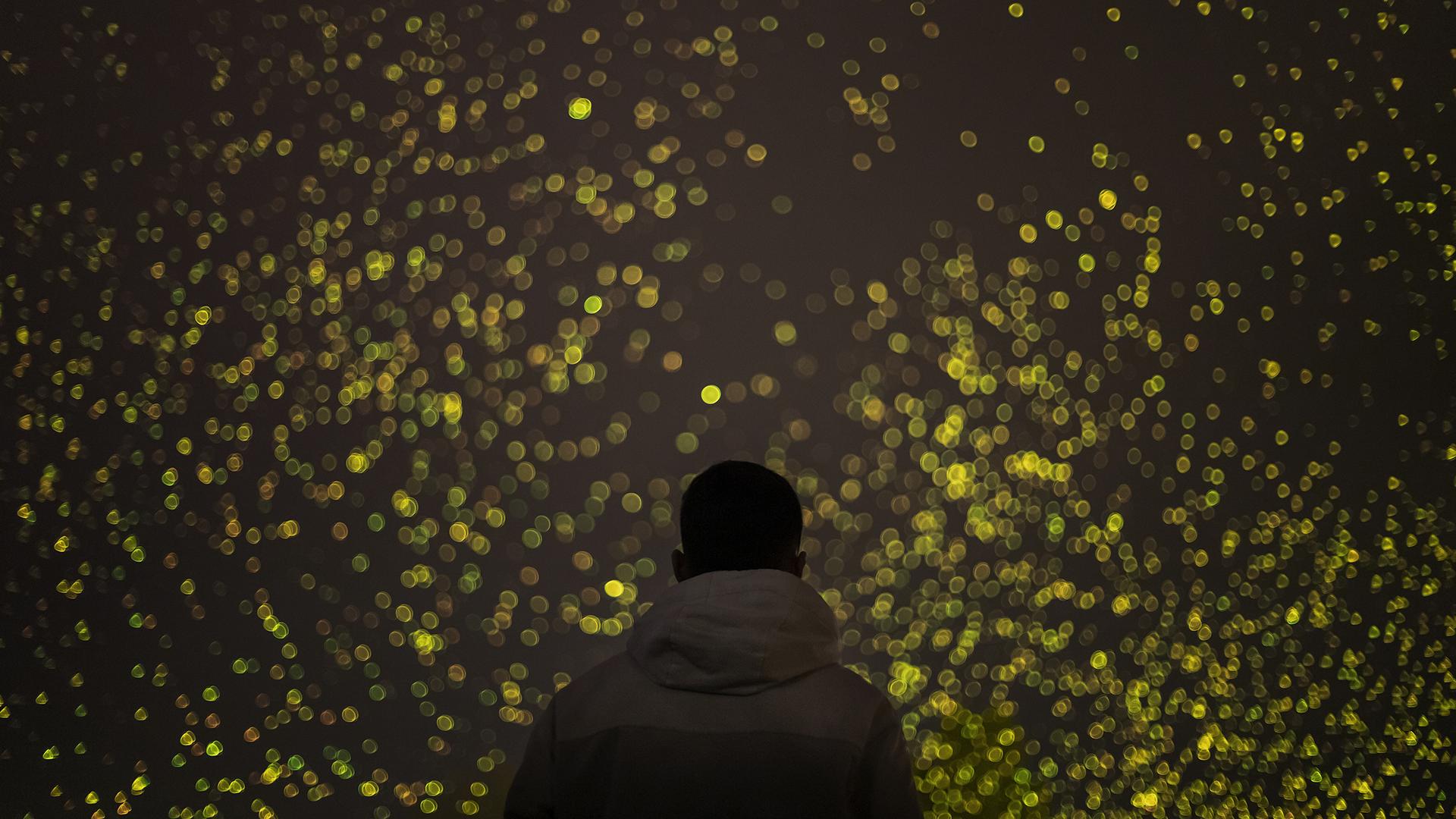 Daan Roosegaarde organic fireworks 1