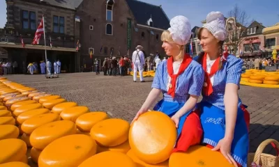 2022 Alkmaar cheese market in the Netherlands