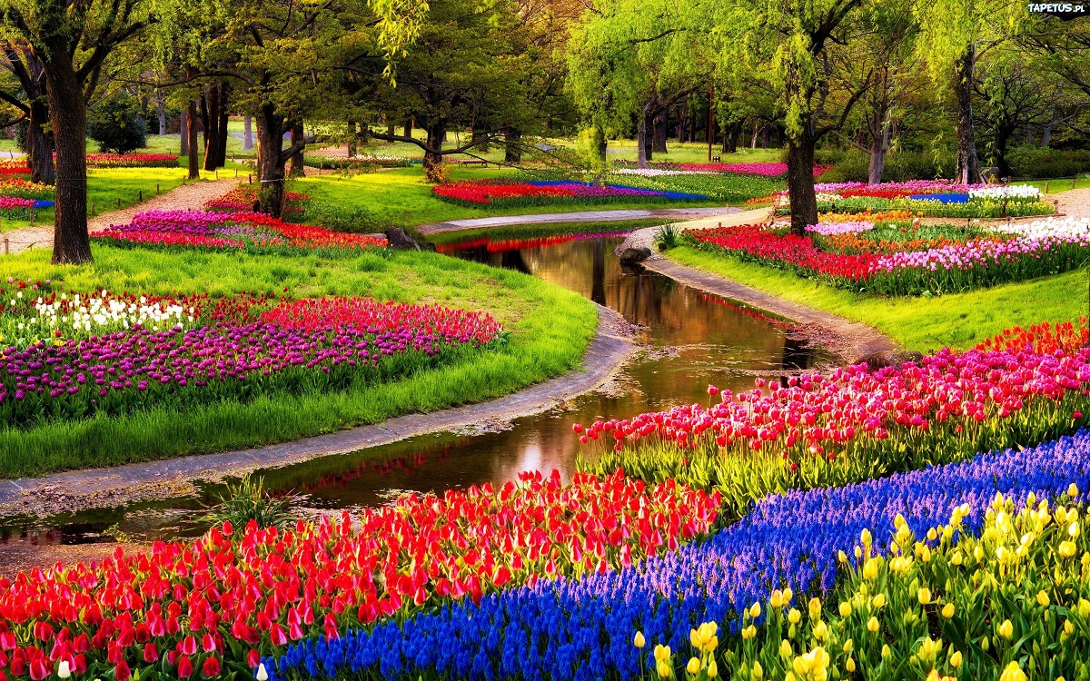 Keukenhof 2022