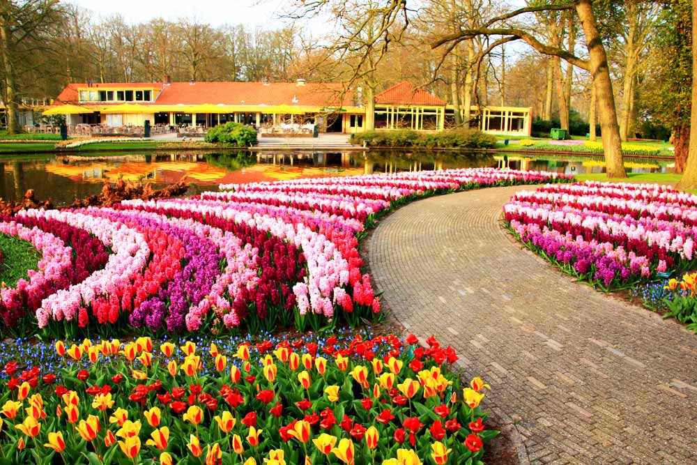 Keukenhof Netherlands tulip festival