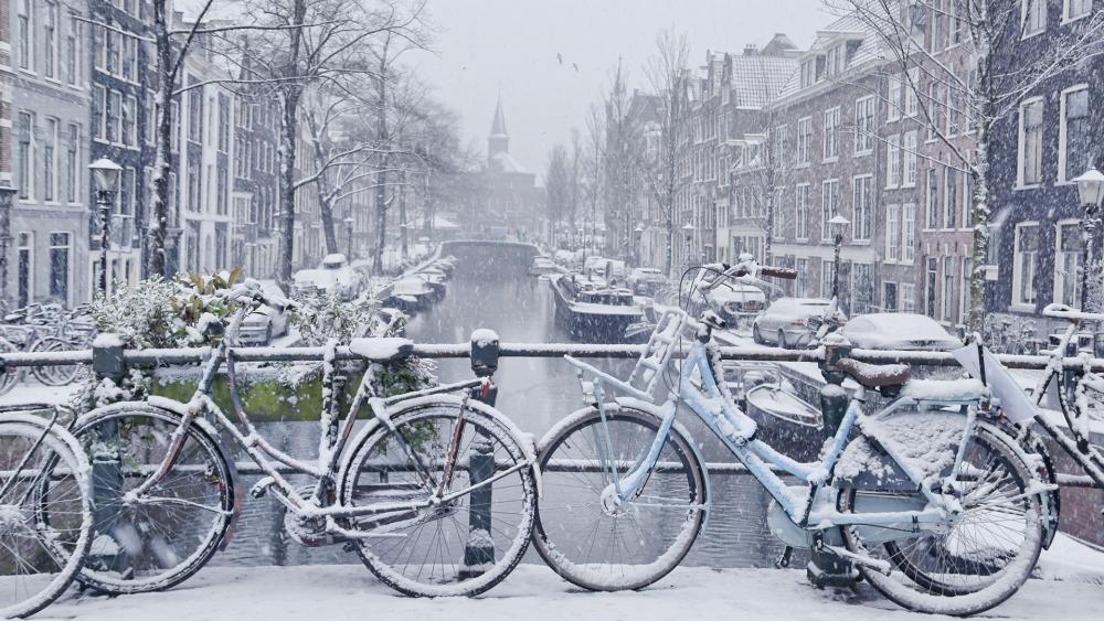 Snow is expected this week in the Netherlands