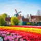 netherlands climate tulip garden