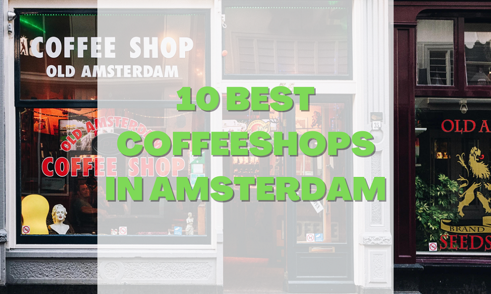 10 Best Coffeeshops In Amsterdam To Visit In 2022 Amsterdam Daily   Traveling Banner Promotion 1000x600 