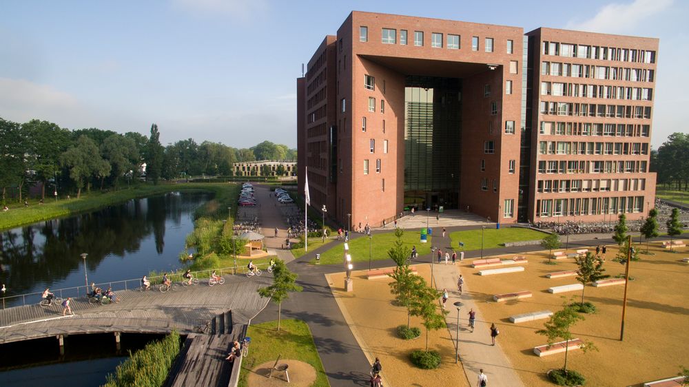 There are 7 Dutch universities in the top 100 intercollegiate rankings