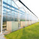 Greenhouses in the Netherlands shut down due to energy crisis