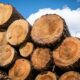 Demand for wood increased in Germany