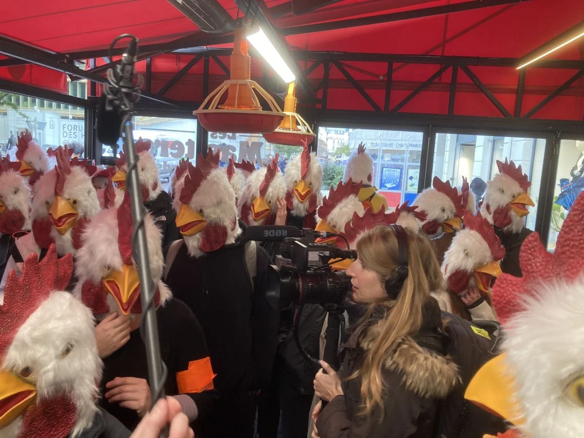 Activists raid Burger King with chicken masks in Paris