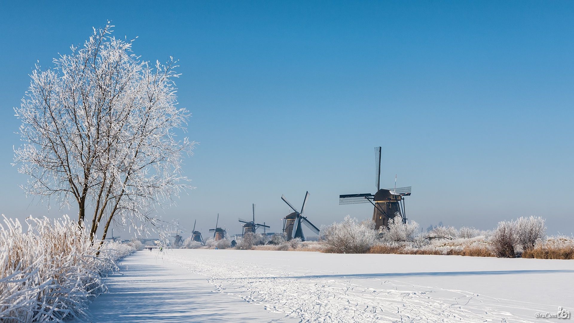 It may snow in the Netherlands at the weekend