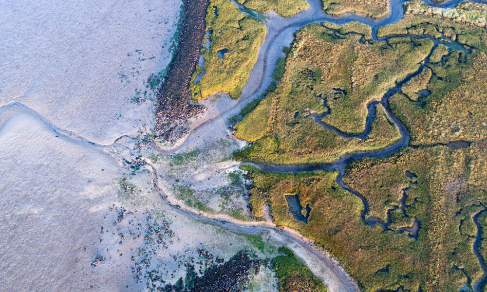 How will the Netherlands disappear under rising sea levels?