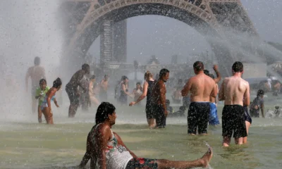 Thousands died in the scorching summer heat in France