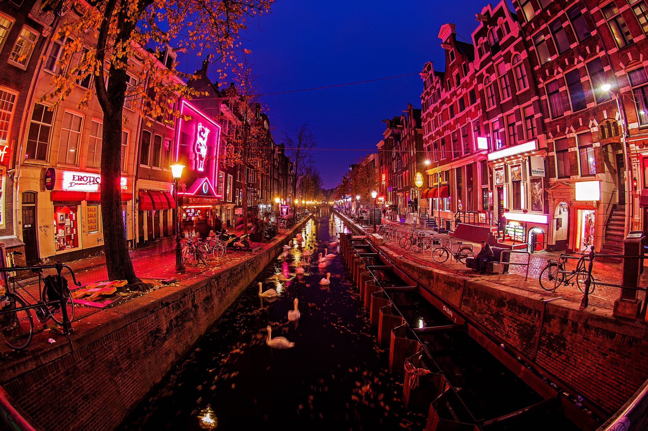 Amsterdam Travel Guide 2023 5