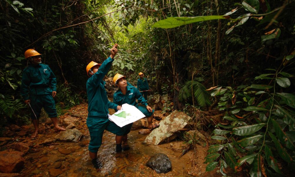 Biodiversity in the world is in danger of extinction by 2100 Amsterdam Daily News Netherlands