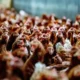 Bird flu epidemic in northern Europe