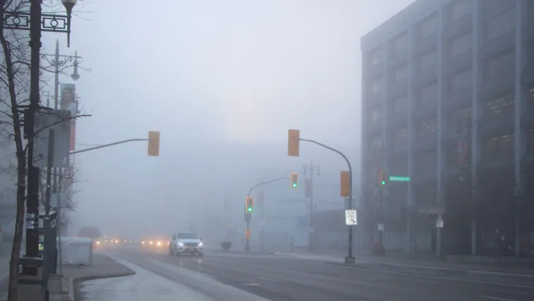 Heavy fog in Canada 14 vehicles collided with each other 1 person died