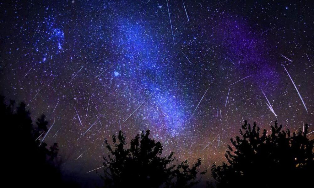 The biggest meteor shower of the year will appear in the Netherlands ...