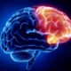 Traumatic memories from the distant past are stored in the anterior part of the brain