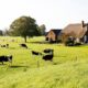 Dutch farm product exports set a record 1 in 5 millionaires is a farmer