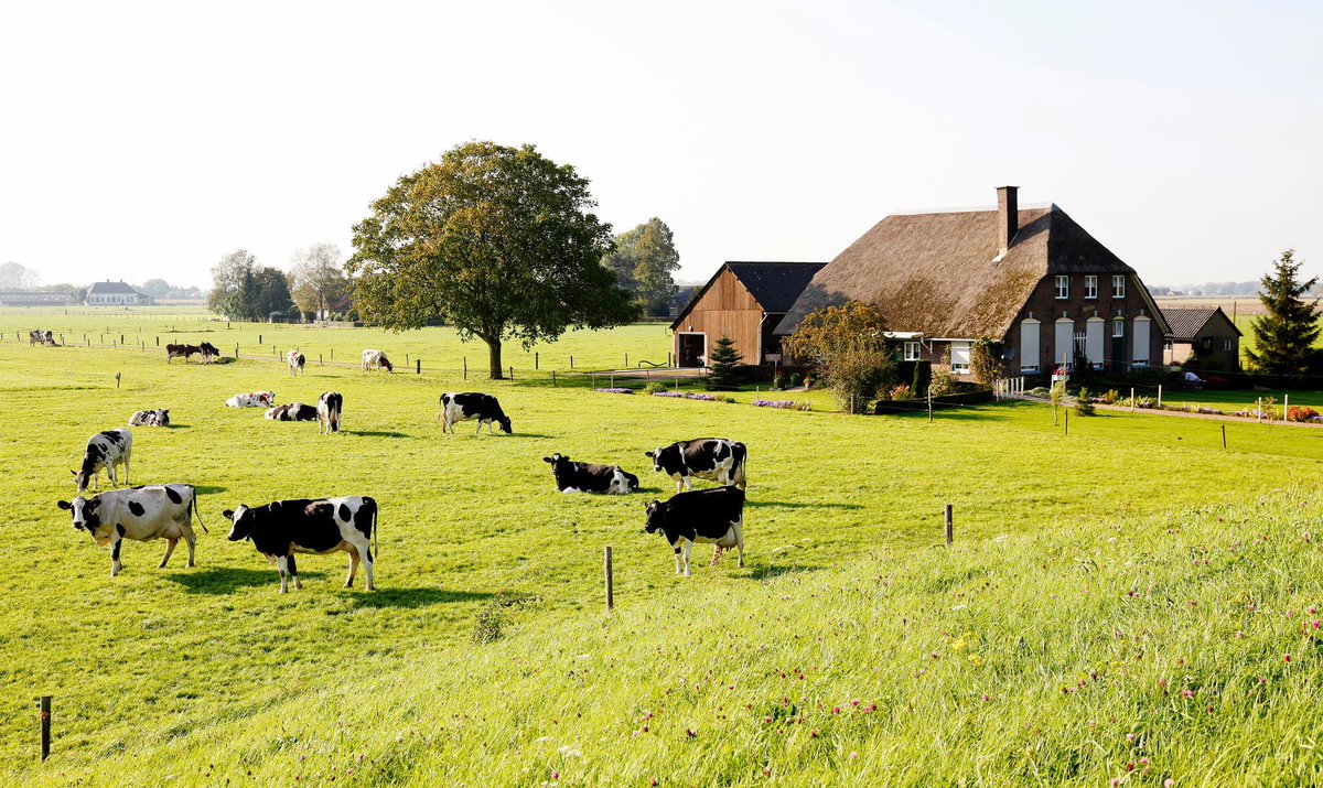 Dutch farm product exports set a record 1 in 5 millionaires is a farmer