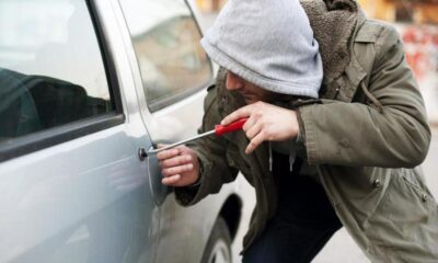 In the Netherlands thieves rob at least 118 vehicles a day