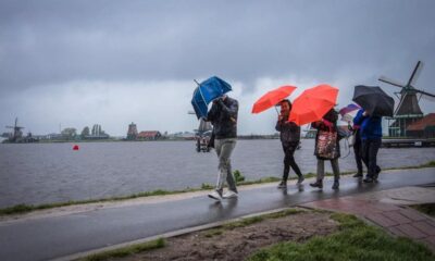 Netherlands has the wettest January