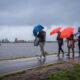 Netherlands has the wettest January