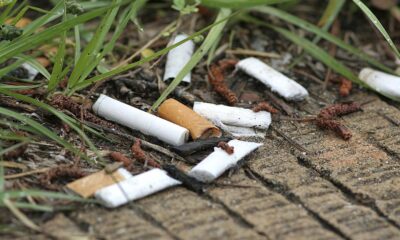 Spain will bill tobacco companies for cleaning cigarette butts