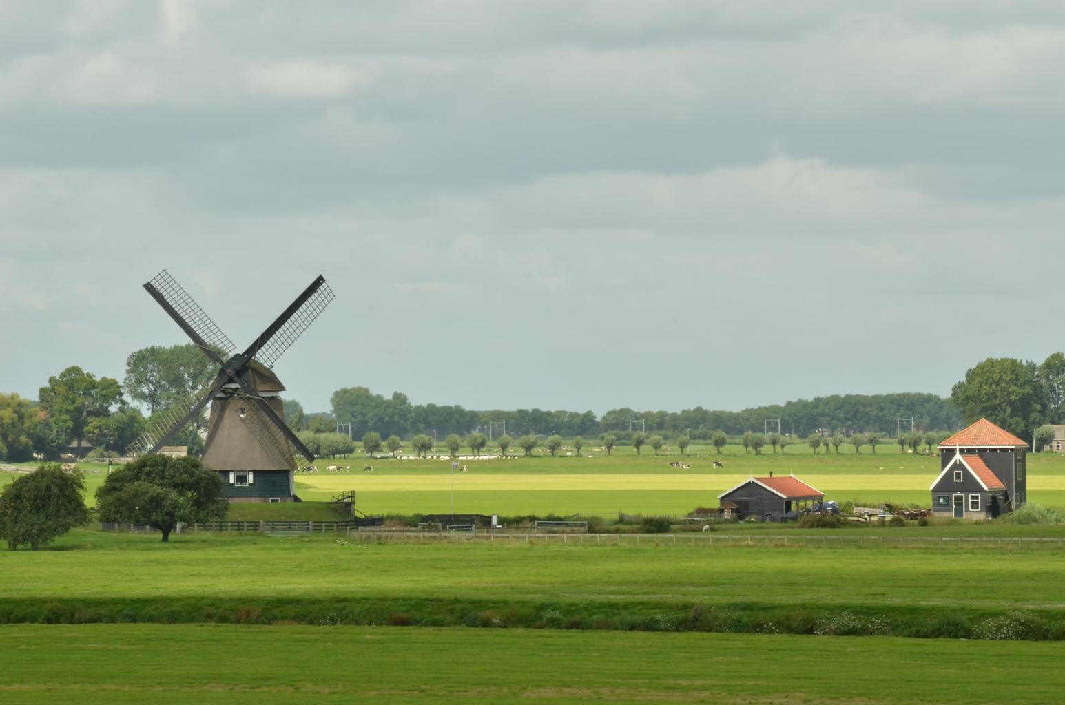 The Netherlands created miracles in agriculture in 2022