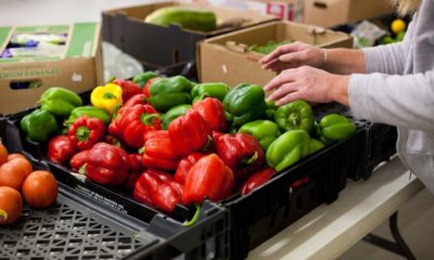 40 increase in food bank applications in the Netherlands