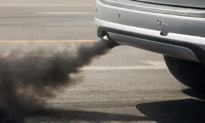 Breathing exhaust fumes can damage the brain within two hours