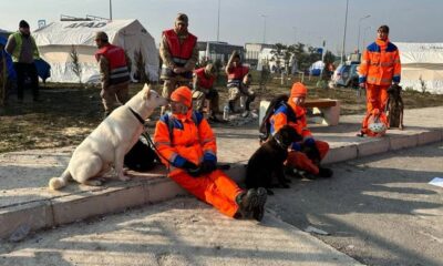 Dutch Signi search dogs locate a person living under rubble on day 11