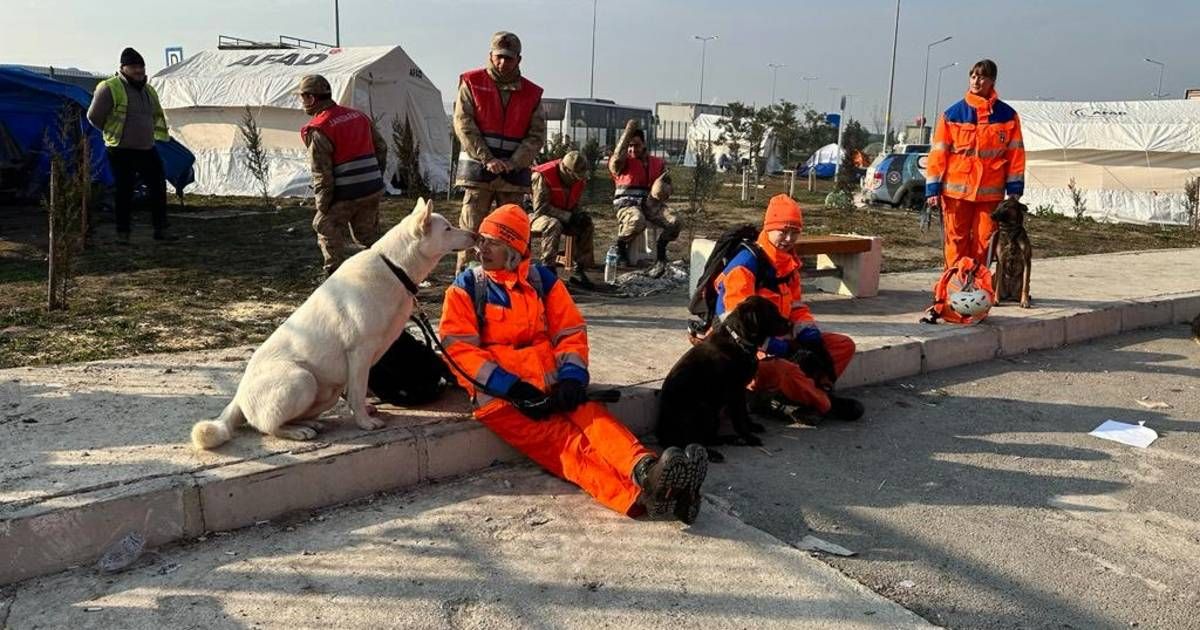 Dutch Signi search dogs locate a person living under rubble on day 11