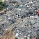 Italy to send field hospital to Turkey for earthquake victims