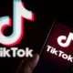 Netherlands wants to ban TikTok app on public phones