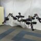 Spider robots that can both walk and fly