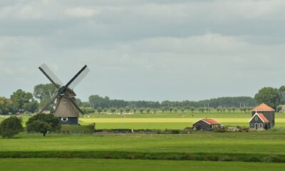 The Netherlands ranks second in the world in agricultural exports 1