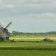 The Netherlands ranks second in the world in agricultural exports 1