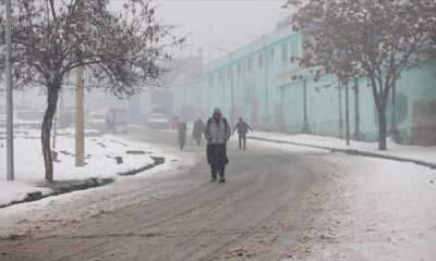 The number of people who lost their lives in the freezing cold in Afghanistan rose to 176