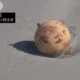 Unidentified object found off the coast of Japan