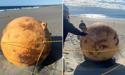 VIDEO A mysterious orb found on the beach confused Japan