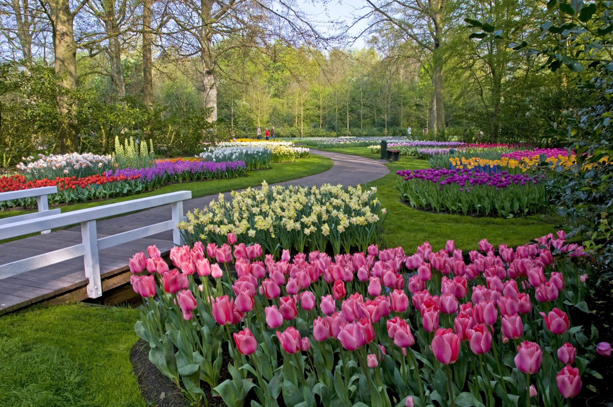 3 different places where you can see colorful tulip gardens in the ...