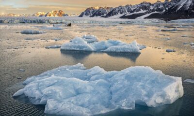 Sea ice level in Antarctica reaches lowest level in 45 years