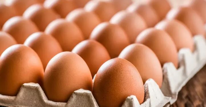 Egg prices rise in the Netherlands