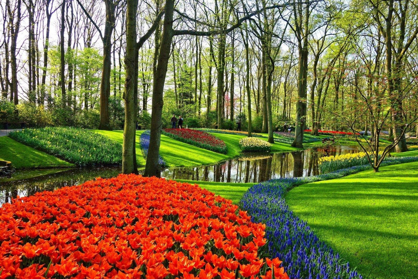 When is Amsterdam Tulip Festival in 2023 1