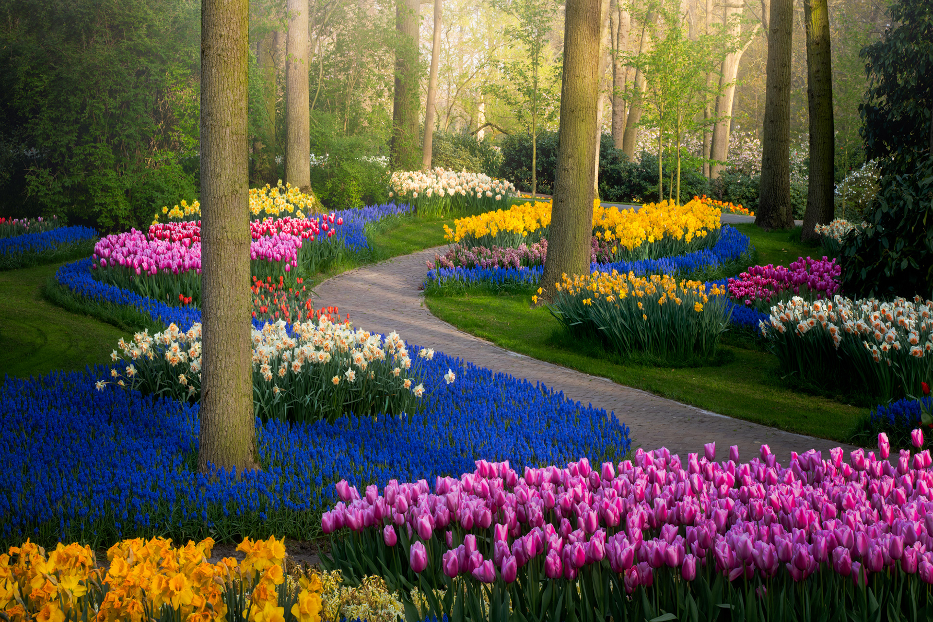 Netherlands Garden Management