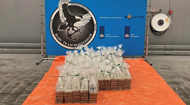 449 kilograms of cocaine hidden in bananas seized in the Netherlands