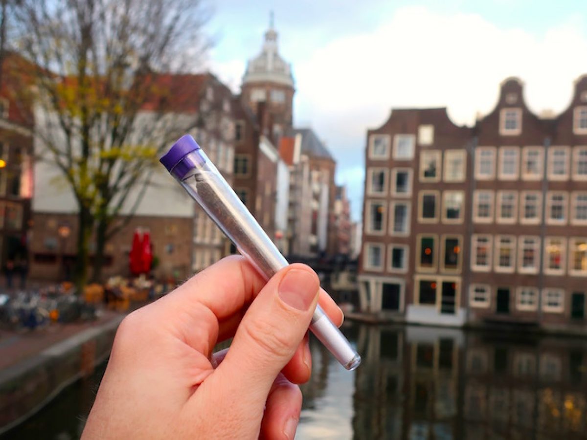 Amsterdam Weed