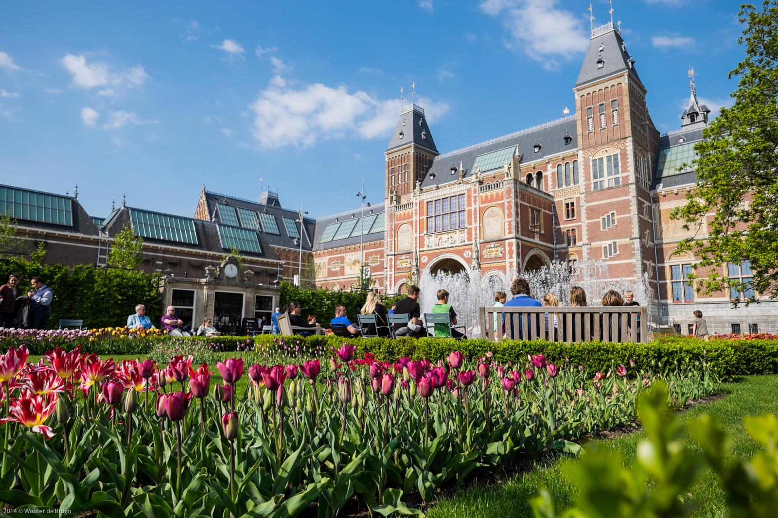 How did the tulip become a symbol for the Netherlands?