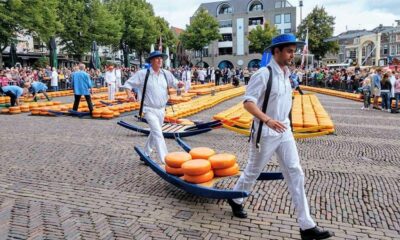 Famous cheese market opened in Alkmaar Netherlands